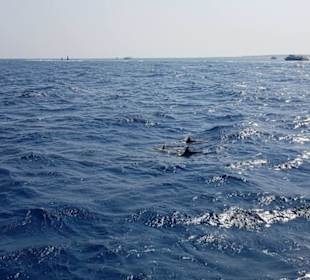 Karibikfeelingtour auf dem Roten Meer
