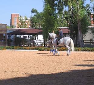 Königliche Hofreitschule