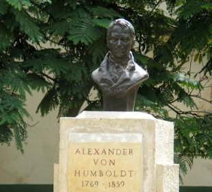 Alexander von Humboldt - Büste