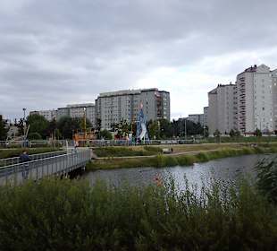 Jezioro w Parku