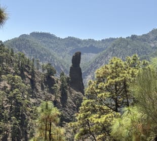 Wandern Los Cancajos