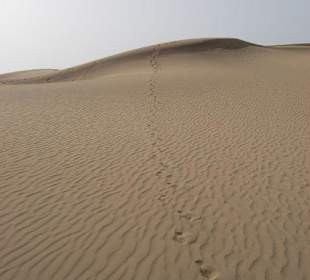 Dünen von Maspalomas