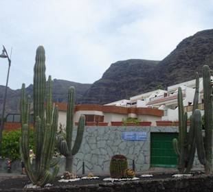 Blick aus der Statdt auf die Steilküste