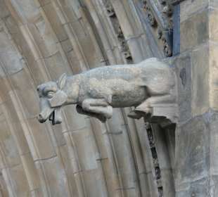 Blick zum Dom von Magdeburg