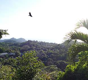 Trekking Manuel Antonio