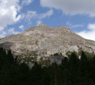 Oberhalb der Baumgrenze