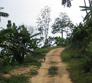Hiking on Samui