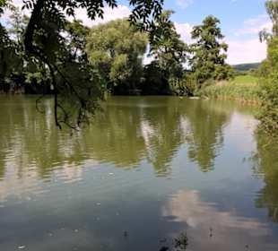 Im Pfarrgarten am Schlosssee / Mühlsee