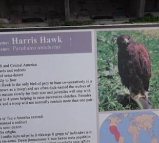 Malta Falconry Centre