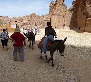 Man konnte mit Esel, Pferd und Kamel reiten