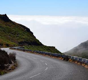 Wechselnde Flora und die Fahrt durch die Wolken