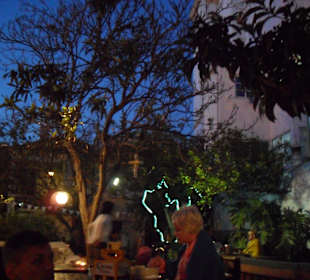 Lemontree