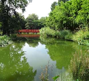 Teichlandschaft im Jardin des Plantes