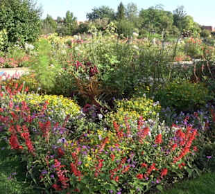 Botanischer Garten München