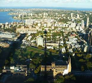 Aussicht vom Sydney Tower
