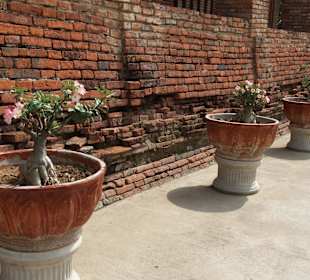 Historisches Ayutthaya