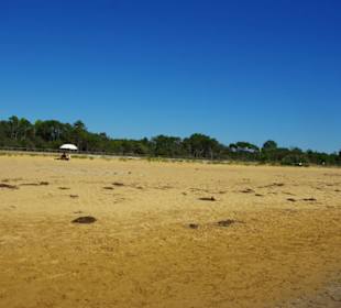 Alles freier Strandbereich