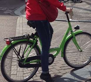 Sehr gut in Schuss die Bikes