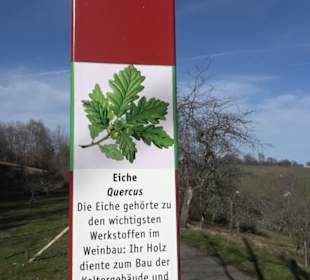 Wanderung Florianrunde