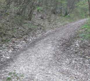 Wanderung rund um das Rusenschloss Gerhausen