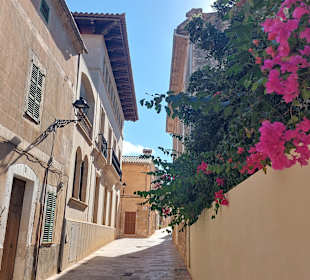 Stadtrundgang Platja de Muro / Playa de Muro
