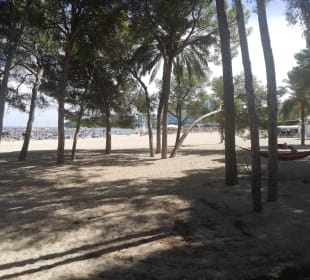 Strand Cala Mayor / Cala Major