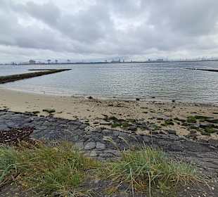Strand Hoek van Holland in Hoek van Holland
