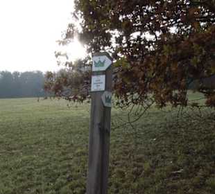 Jungviehweide