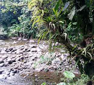 Bei den Wasserfällen