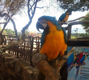 Wir machen eine kleine Pause auf einer alten Ranch