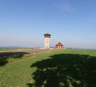 Rozhledna U borovice