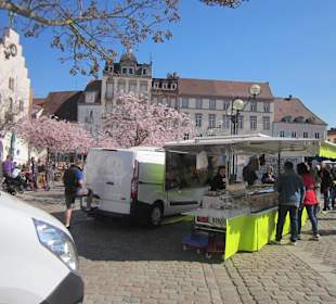 Frühling in Landau