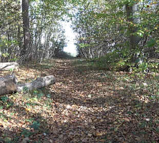 Wandertour "Rund um den Rossberg" Öschingen