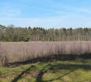 Abwechslungsreicher Weg