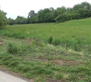 Naturinfopfad Weggental