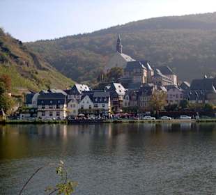 Beilstein