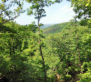 Blick vom Aussichtspunkt