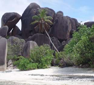 Granitfelsen an der Anse Source DÀrgent
