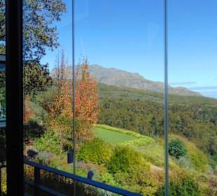 Weingut Tokara in Stellenbosch