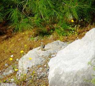 Der Staudamm selbst in voller Pracht