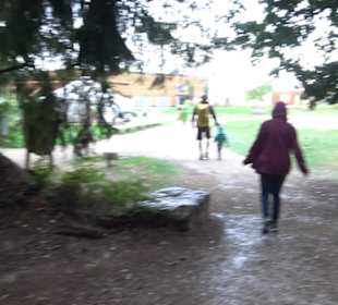 Dinosaurier Museum Altmühltal