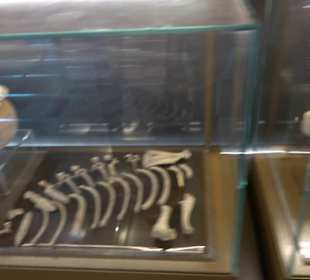 St. Paul`s Catacombs