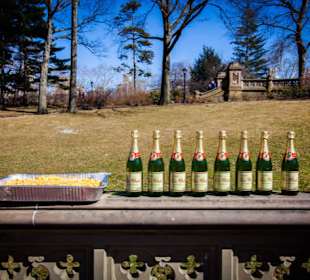 Es ist vollbracht! Prost im Central Park!