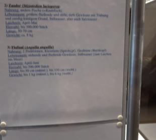 Natur- und Jagdmuseum