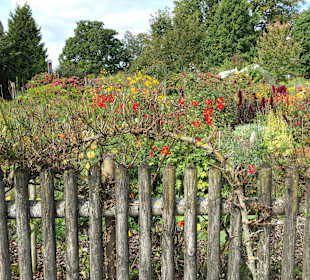 Wandern Frauenchiemsee
