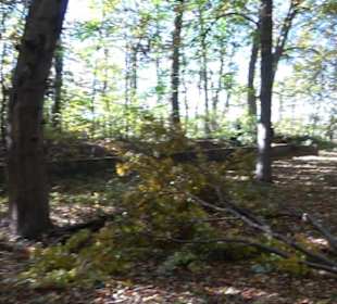 Ehemaliger Segelflug-Startplatz