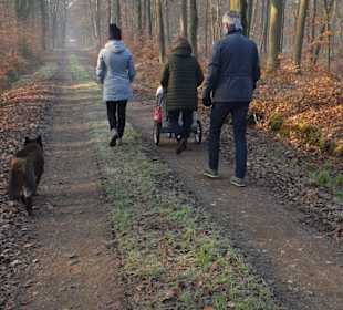 Wandern Schermbeck