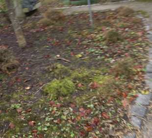 Ausstellung Friedhofsgeschichte - Trauwerweg