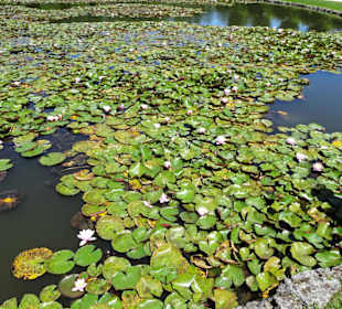 Rundgang durch den Kanalgarten der Eremitage