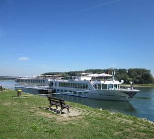 Am Rhein bei Germersheim